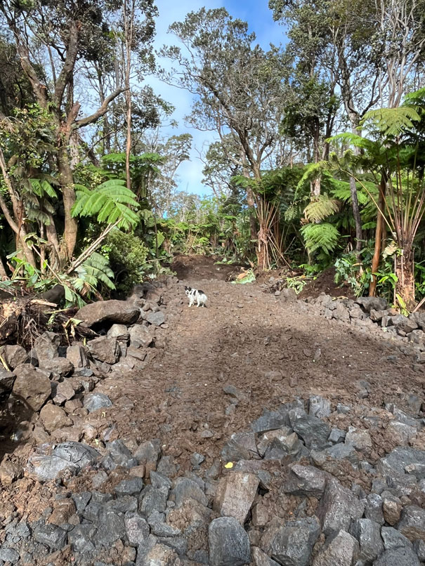 Groundwork 3