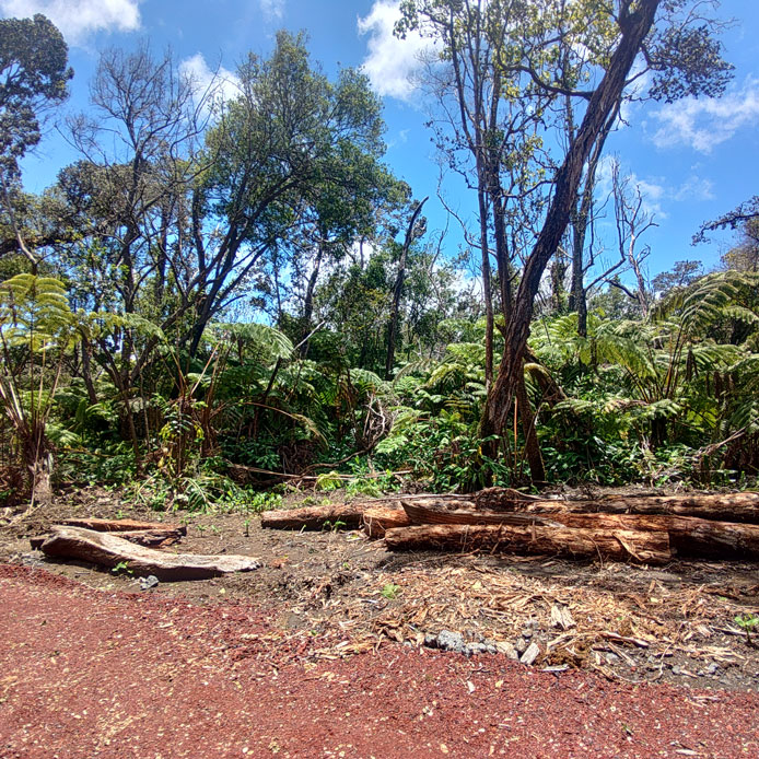Groundwork 48