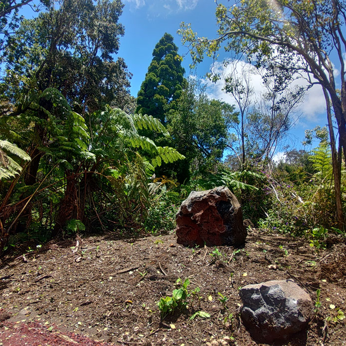 Groundwork 54