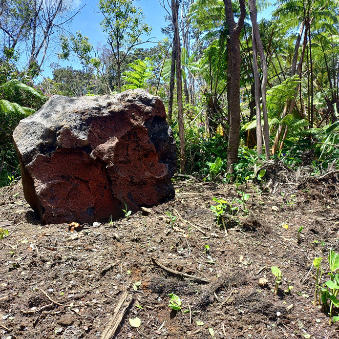 Groundwork 56