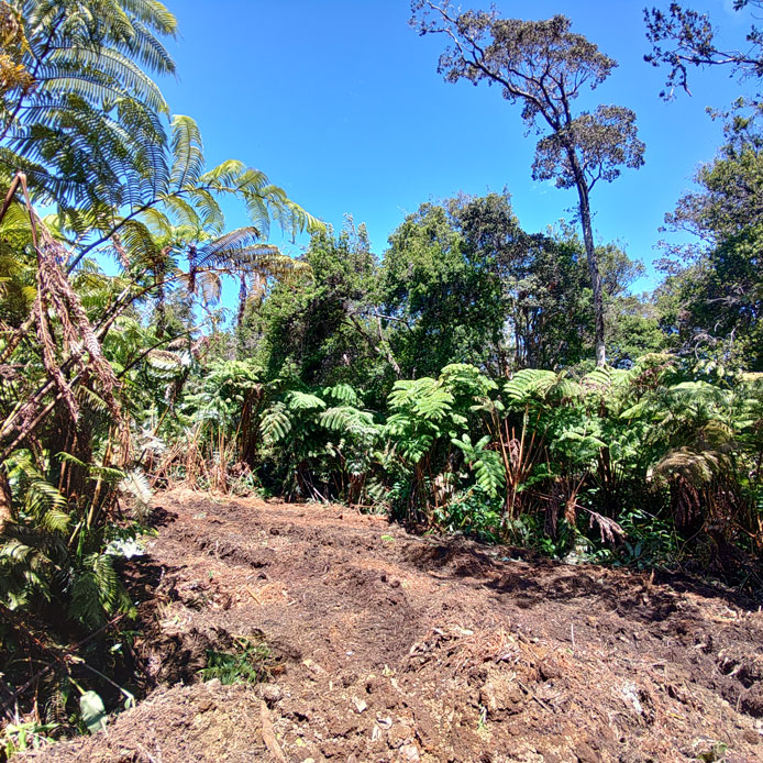 Groundwork 8
