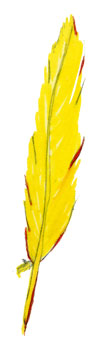 Feather 1