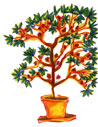 Flower 6
