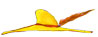 Hat 3