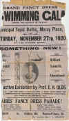Swimming Class Poster.jpg (598305 bytes)