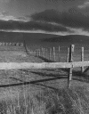 2bigpile.gif (175800 bytes)