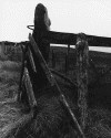 2endofthefence.gif (143197 bytes)