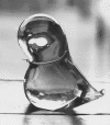 2tiffinytweety.gif (133184 bytes)
