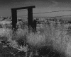 3barbedwire.gif (111441 bytes)