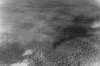 3bigmassofuzzystuf.gif (91291 bytes)