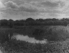 3pond.gif (96084 bytes)