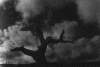 3stumpatnight.gif (72809 bytes)