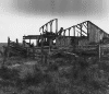 3tumbledownshack.gif (112190 bytes)
