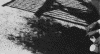 4breaktime.gif (79161 bytes)