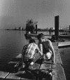 4goingfishing.gif (98834 bytes)