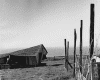 4shack2.gif (103114 bytes)