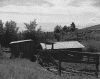 4shack3.gif (98409 bytes)
