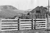 4shack4.gif (99015 bytes)