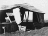 4shack5.gif (89925 bytes)