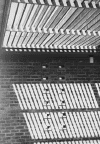 4skylight.gif (205271 bytes)
