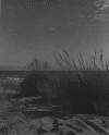 5beach2.gif (124661 bytes)