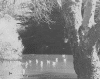 5ducksinpond.gif (178635 bytes)