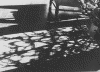 5floorscape.gif (83369 bytes)