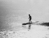5surfer.gif (137787 bytes)