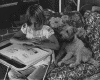 And then....gif (120775 bytes)