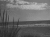 Cloudskyseamansand.gif