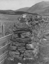 stonewall.gif (191491 bytes)