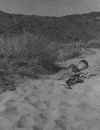 theuniverseinagrainofsand.gif (158232 bytes)